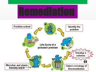 Remediation
Presented to Chem 289, Summer Class 2014
64
 