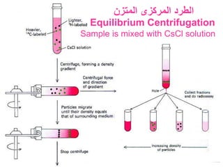 Cscl Solution chem320-lec1.ppt