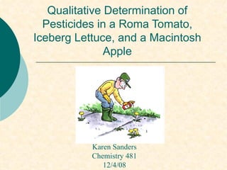 Qualitative Determination of Pesticides in a Roma Tomato, Iceberg Lettuce, and a Macintosh Apple Karen Sanders Chemistry 481 12/4/08 1 