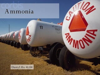 Ammonia   Darryl Ho 4L04 
