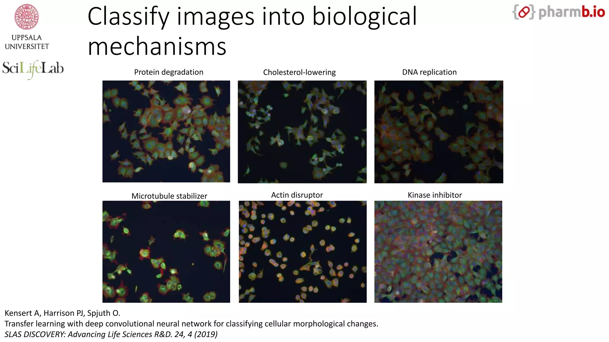 Protein degradation Cholesterol-lowering DNA replication
Microtubule stabilizer Actin disruptor Kinase inhibitor
Classify images into biological
mechanisms
Kensert A, Harrison PJ, Spjuth O.
Transfer learning with deep convolutional neural network for classifying cellular morphological changes.
SLAS DISCOVERY: Advancing Life Sciences R&D. 24, 4 (2019)
 
