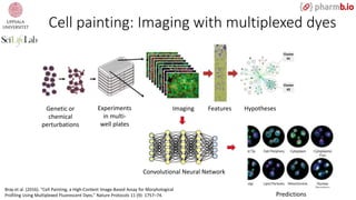 Genetic or
chemical
perturbations
Experiments
in multi-
well plates
Imaging Features Hypotheses
Convolutional Neural Network
Predictions
Cell painting: Imaging with multiplexed dyes
Bray et al. (2016). “Cell Painting, a High-Content Image-Based Assay for Morphological
Profiling Using Multiplexed Fluorescent Dyes.” Nature Protocols 11 (9): 1757–74.
 