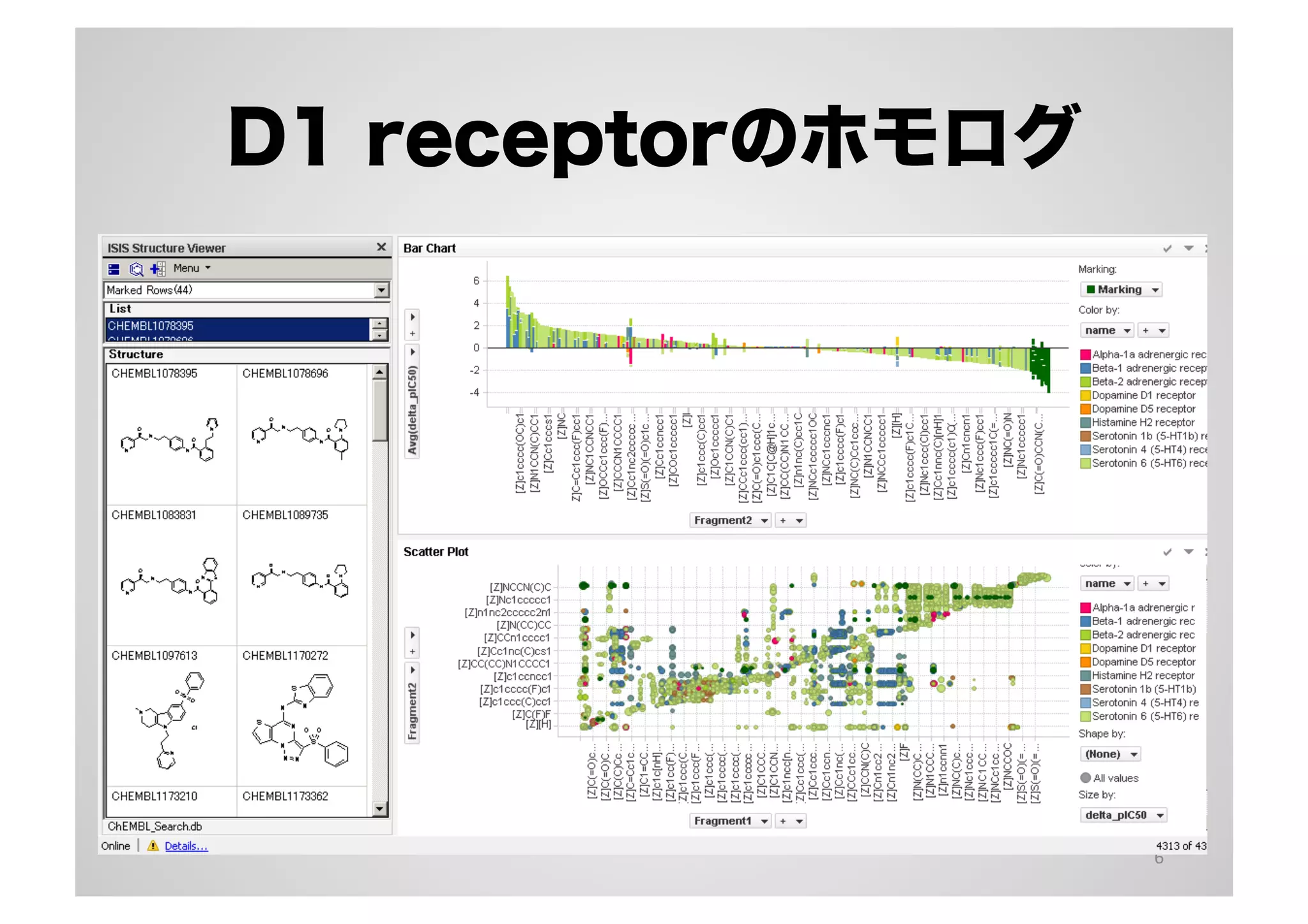 D1 receptorのホモログ

6	
  

 