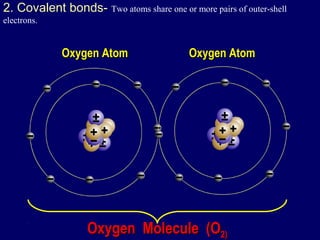2. Covalent bonds- Two atoms share one or more pairs of outer-shell
electrons.
Oxygen AtomOxygen Atom Oxygen AtomOxygen Atom
Oxygen Molecule (OOxygen Molecule (O22))
 