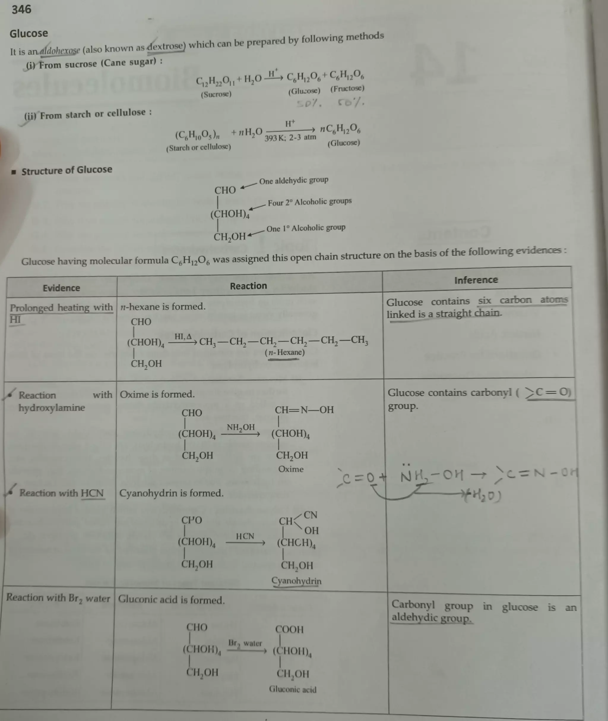 Chem Ch-14 Biomolecules.pdf