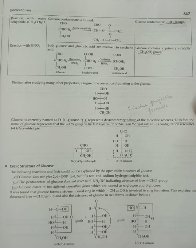 Chem Ch-14 Biomolecules.pdf