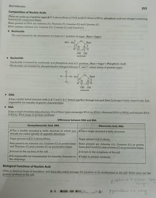 Chem Ch-14 Biomolecules.pdf