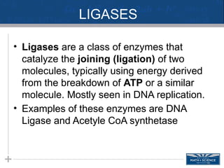 Biochemistry ---Enzymes and nature .pptx