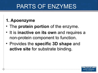 Biochemistry ---Enzymes and nature .pptx