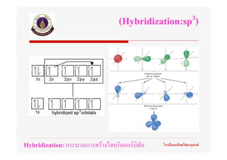 (Hybridization:sp 3)




Hybridization: กระบวนการสรางไฮบริดออรบิทัล   โรงเรียนมหิดลวิทยานุสรณ
 
