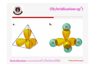 (Hybridization:sp 3)




Hybridization: กระบวนการสรางไฮบริดออรบิทัล   โรงเรียนมหิดลวิทยานุสรณ
 