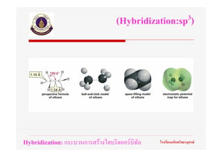 (Hybridization:sp 3)




Hybridization: กระบวนการสรางไฮบริดออรบิทัล   โรงเรียนมหิดลวิทยานุสรณ
 