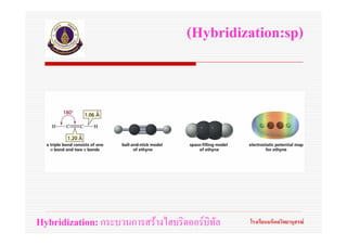 (Hybridization:sp)




Hybridization: กระบวนการสรางไฮบริดออรบิทัล   โรงเรียนมหิดลวิทยานุสรณ
 
