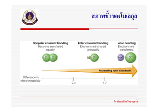 สภาพขั้วของโมเลกุล




        โรงเรียนมหิดลวิทยานุสรณ
 