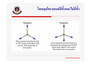 โมเลกุลโคเวเลนตมีขั้วและไมมีขั้ว




                      โรงเรียนมหิดลวิทยานุสรณ
 