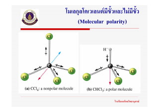 โมเลกุลโคเวเลนตมีขั้วและไมมีขั้ว
     (Molecular polarity)




                      โรงเรียนมหิดลวิทยานุสรณ
 