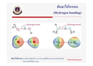 พันธะไฮโดรเจน
                                                           (Hydrogen bonding)




พันธะไฮโดรเจน หมายถึงแรงยึดเหนี่ยวระหวางโมเลกุลทีมีไฮโดรเจนอะตอมสรางพันธะ
                                                  ่                           โรงเรียนมหิดลวิทยานุสรณ
                กับอะตอมอื่นที่มีคา EN สูง
 