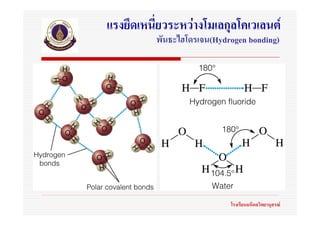 แรงยึดเหนี่ยวระหวางโมเลกุลโคเวเลนต
          พันธะไฮโดรเจน(Hydrogen bonding)




                            โรงเรียนมหิดลวิทยานุสรณ
 