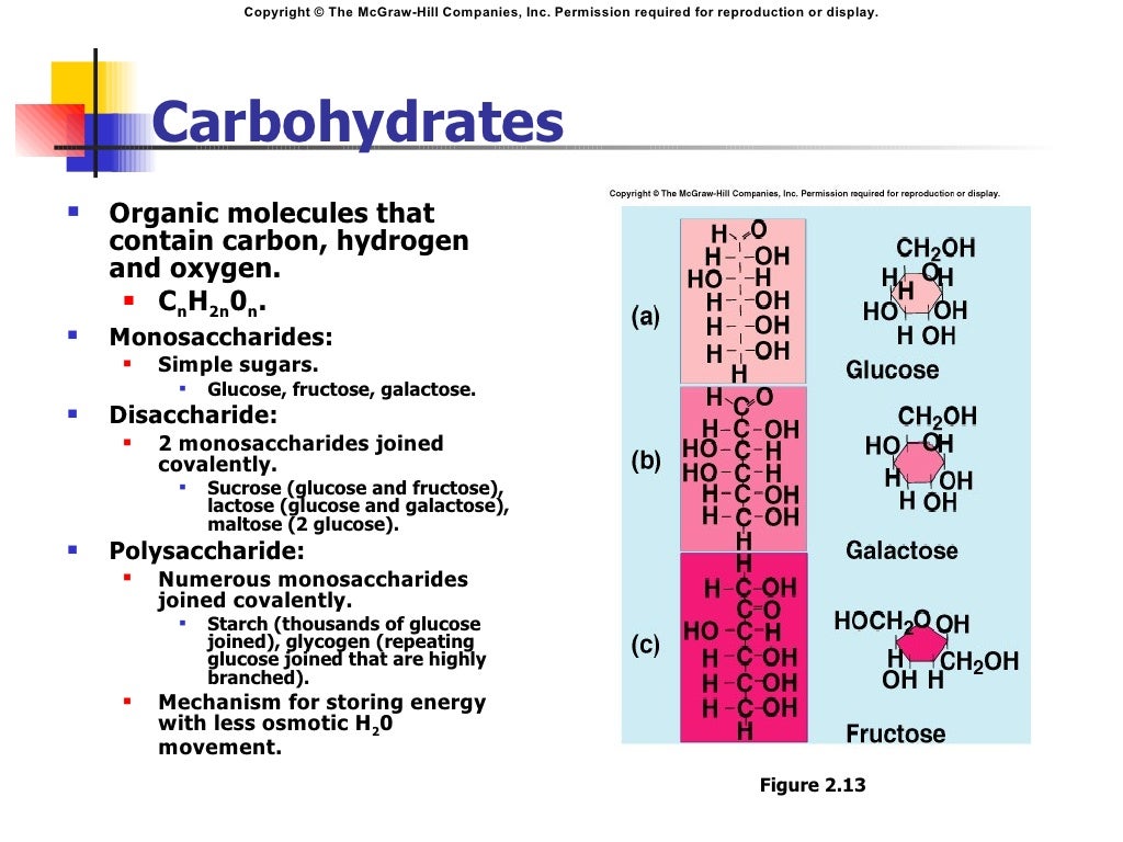 Chemical Composition of the Body