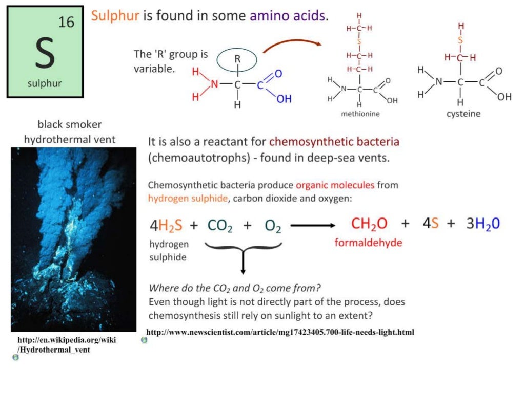 Chemical Elements and Water