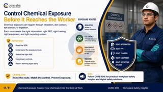 Chemical Exposure Routes: How Chemicals Enter the Body at Work