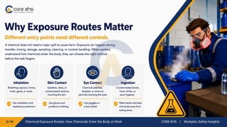 Chemical Exposure Routes: How Chemicals Enter the Body at Work CORE-EHS | Workplac Safety Insights
 