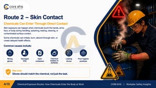 Chemical Exposure Routes: How Chemicals Enter the Body at Work CORE-EHS | Workplac Safety Insights
 