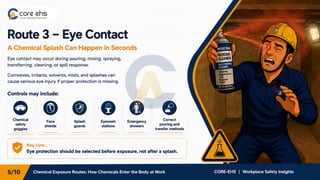 Chemical Exposure Routes: How Chemicals Enter the Body at Work