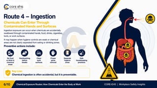 Chemical Exposure Routes: How Chemicals Enter the Body at Work