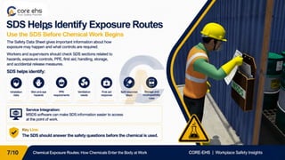 Chemical Exposure Routes: How Chemicals Enter the Body at Work