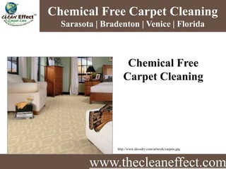 www.thecleaneffect.com Chemical Free Carpet Cleaning  Sarasota, Bradenton & Venice Florida 