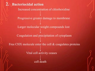 2. Bacteriocidal action
Increased concentration of chlorhexidine
Progressive greater damage to membrane
Larger molecular weight compounds lost
Coagulation and precipitation of cytoplasm
Free CHX molecule enter the cell & coagulates proteins
Vital cell activity ceases
cell death
 