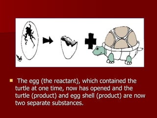 The egg (the reactant), which contained the turtle at one time, now has opened and the turtle (product) and egg shell (product) are now two separate substances.  
