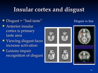 Chemical senses - smell and taste | PPT