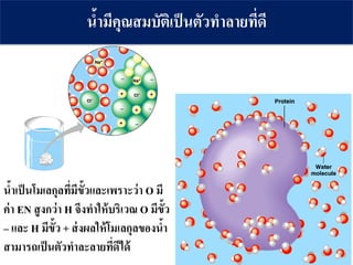 น้ามีคุณสมบัติเป็นตัวทาลายที่ดี
น้าเป็นโมเลกุลที่มีขั้วและเพราะว่า O มี
ค่า EN สูงกว่า H จึงทาให้บริเวณ O มีขั้ว
– และ H มีขั้ว + ส่งผลให้โมเลกุลของน้า
สามารถเป็นตัวทาละลายที่ดีได้
 