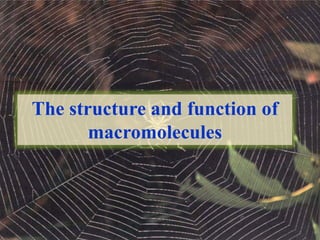 The structure and function of
macromolecules
 