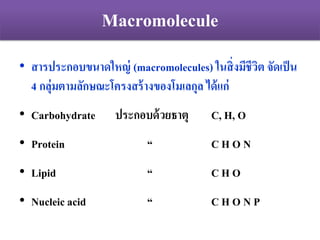 Macromolecule
• สารประกอบขนาดใหญ่ (macromolecules) ในสิ่งมีชีวิต จัดเป็น
4 กลุ่มตามลักษณะโครงสร้างของโมเลกุล ได้แก่
• Carbohydrate ประกอบด้วยธาตุ C, H, O
• Protein “ C H O N
• Lipid “ C H O
• Nucleic acid “ C H O N P
 