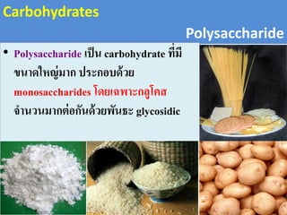 Carbohydrates
Polysaccharide
• Polysaccharide เป็น carbohydrate ที่มี
ขนาดใหญ่มาก ประกอบด้วย
monosaccharides โดยเฉพาะกลูโคส
จานวนมากต่อกันด้วยพันธะ glycosidic
 