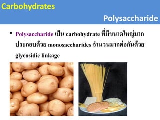 Carbohydrates
Polysaccharide
• Polysaccharide เป็น carbohydrate ที่มีขนาดใหญ่มาก
ประกอบด้วย monosaccharides จานวนมากต่อกันด้วย
glycosidic linkage
 