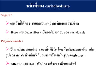 Sugars :
ทาหน้าที่ให้พลังงานและเป็นแหล่งคาร์บอนแก่สิ่งมีชีวิต
ribose และ deoxyribose เป็นองค์ประกอบของ nucleic acid
Polysaccharide:
เป็นแหล่งสะสมพลังงานของสิ่งมีชีวิต โดยพืชเก็บสะสมพลังงานใน
รูปของ starch ส่วนสัตว์เก็บสะสมพลังงานในรูปของ glycogen
Cellulose และ chitin เป็นโครงสร้างของพืชและสัตว์
หน้าที่ของ carbohydrate
 
