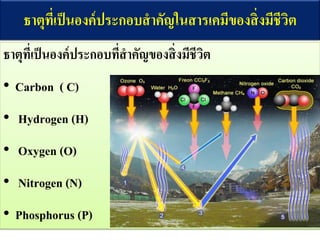 ธาตุที่เป็นองค์ประกอบสาคัญในสารเคมีของสิ่งมีชีวิต
ธาตุที่เป็นองค์ประกอบที่สาคัญของสิ่งมีชีวิต
• Carbon ( C)
• Hydrogen (H)
• Oxygen (O)
• Nitrogen (N)
• Phosphorus (P)
 
