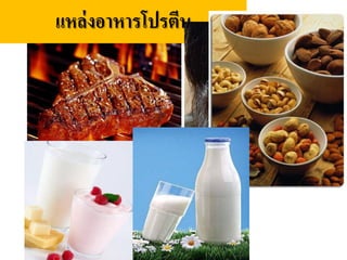 แหล่งอาหารโปรตีน
 