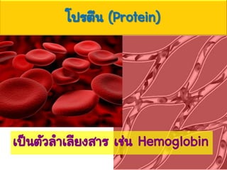 โปรตีน (Protein)
เป็นตัวลาเลียงสาร เช่น Hemoglobin
 