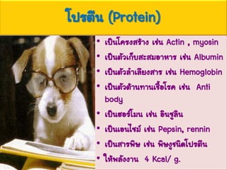 โปรตีน (Protein)
• เป็นโครงสร้าง เช่น Actin , myosin
• เป็นตัวเก็บสะสมอาหาร เช่น Albumin
• เป็นตัวลาเลียงสาร เช่น Hemoglobin
• เป็นตัวต้านทานเชื้อโรค เช่น Anti
body
• เป็นฮอร์โมน เช่น อินซูลิน
• เป็นเอนไซม์ เช่น Pepsin, rennin
• เป็นสารพิษ เช่น พิษงูชนิดโปรตีน
• ให้พลังงาน 4 Kcal/ g.
 