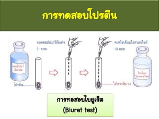 การทดสอบโปรตีน
การทอสอบไบยูเร็ต
(Biuret test)
 