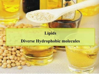Lipids
Diverse Hydrophobic molecules
 