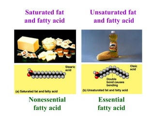 Saturated fat
and fatty acid
Unsaturated fat
and fatty acid
Nonessential
fatty acid
Essential
fatty acid
 
