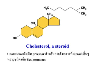 Cholesterol, a steroid
Cholesterol ยังเป็น precusor สาหรับการสังเคราะห์ steroid อื่นๆ
หลายชนิด เช่น Sex hormones
 