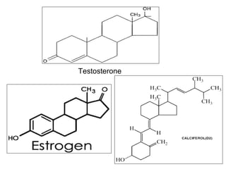 Testosterone
 