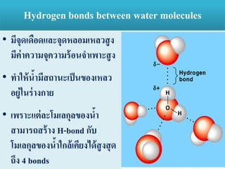 • มีจุดเดือดและจุดหลอมเหลวสูง
มีค่าความจุความร้อนจาเพาะสูง
• ทาให้น้ามีสถานะเป็นของเหลว
อยู่ในร่างกาย
• เพราะแต่ละโมเลกุลของน้า
สามารถสร้าง H-bond กับ
โมเลกุลของน้าใกล้เคียงได้สูงสุด
ถึง 4 bonds
Hydrogen bonds between water molecules
 